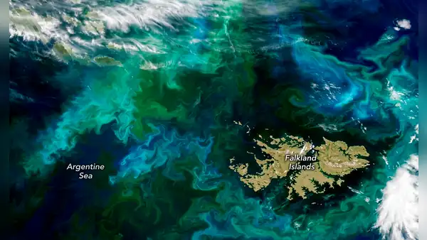 El océano Atlántico cambia de color cerca de las Malvinas: la NASA explica el fenómeno detrás de los enormes remolinos turquesa