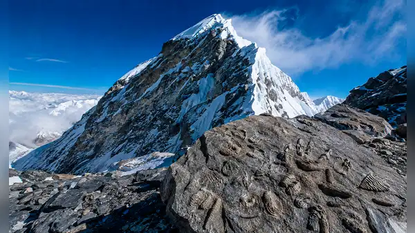 Fósiles marinos de 450 millones de años revelan el pasado del Everest: la cumbre más alta de la Tierra nació de un antiguo mar bajo el Himalaya