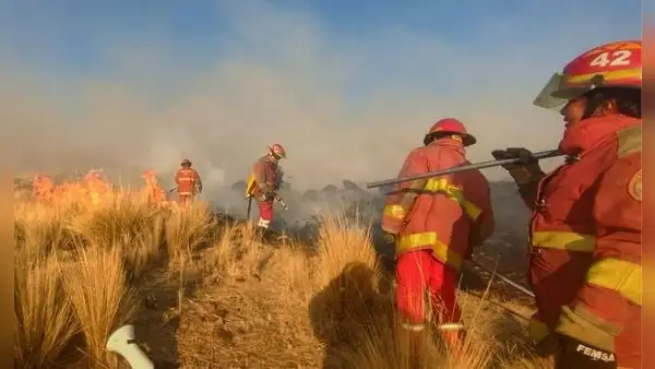 Feroz incendio forestal en Puno deja una adulta mayor fallecida y amenaza comunidades