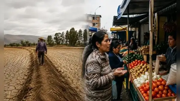 El Niño empeoraría el hambre: fenómeno amenaza con agravar la inseguridad alimentaria de millones de peruanos