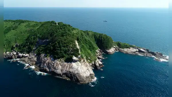 En esta isla de Sudamérica vive una serpiente por metro cuadrado, y nadie tiene permitido desembarcar