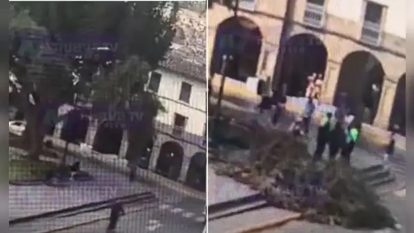 Turista se salva de milagro tras caerle un árbol encima mientras descansaba en la Plazoleta Regocijo de Cusco