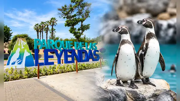 Parque de las Leyendas ofrecerá 50% de descuento en sus entradas para estas fechas de setiembre
