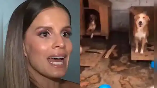 Alejandra Baigorria marca distancia de albergue en Chaclacayo tras denuncia por abandono: "No tengo obligación de ayudar a todos"