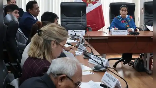 Comisión de Energía y Minas calificó de "no viable" dar facultades legislativas al Poder Ejecutivo en el sector