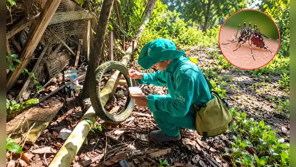 Fenómeno El Niño podría elevar el riesgo de dengue en Amazonas: Diresa advierte sobre nuevos criaderos