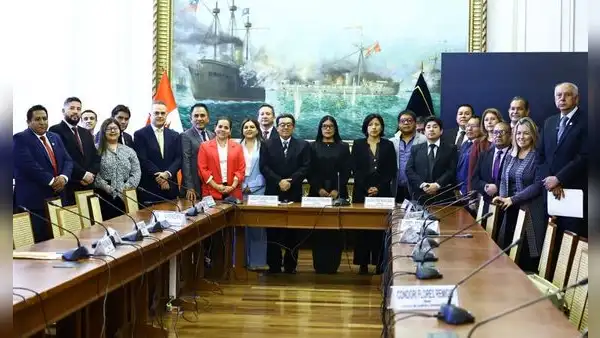 Comisión de Justicia y DD.HH. rechaza darle facultades legislativas al Ejecutivo