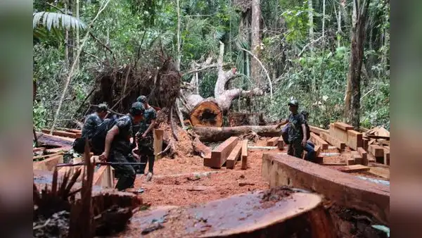 Mataron a 37 líderes amazónicos y otros 43 están bajo amenaza