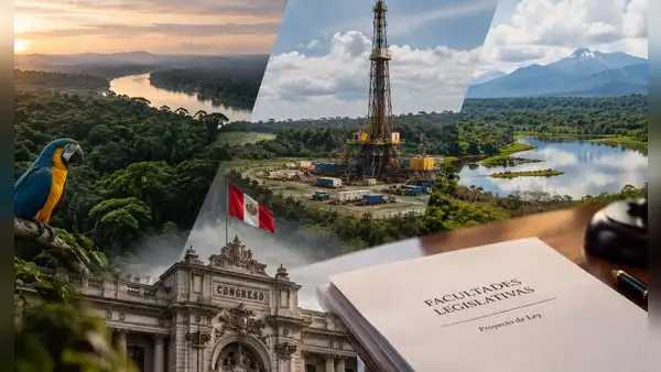 Facultades legislativas: propuestas ambientales abren dudas sobre controles a proyectos de inversión, áreas protegidas y concesiones