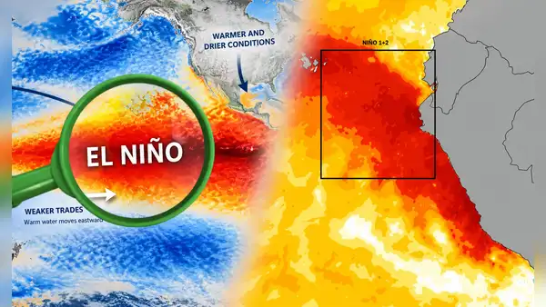 Esta región del país será la más golpeada por El Niño Costero: Senamhi advierte que calor llegará a 40 °C y sensación térmica rozará los 42 °C