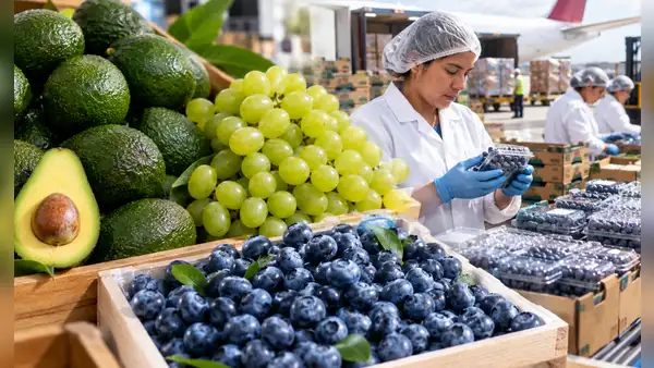 Agroexportaciones peruanas rozan los US$7.000 millones: cinco productos concentran casi la mitad de los envíos