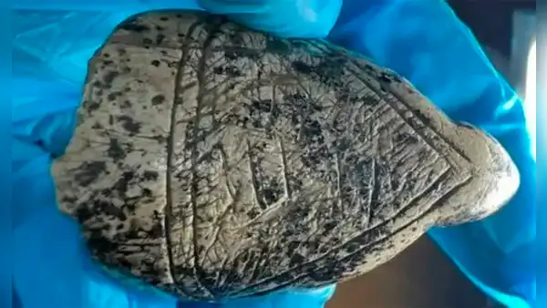 Arqueólogos descubren extraordinarias figuras de la "Venus" de la Edad de Hielo talladas en marfil de mamut