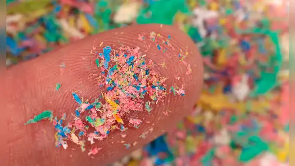 Científicos descubren que un popular alimento fermentado puede ayudar a eliminar los microplásticos del cuerpo