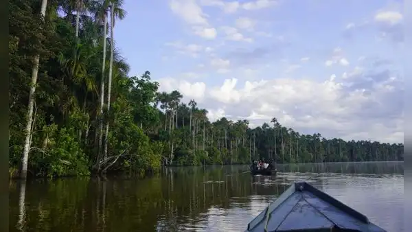 ¿Tienes entre 20 y 30 años? Gana una experiencia en la Reserva Nacional de Tambopata con un video