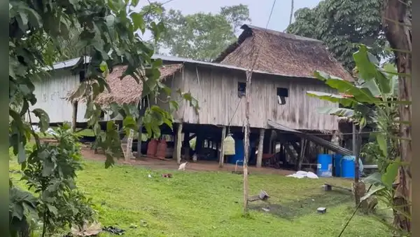 Se fueron de la ciudad hace 30 años y construyeron una vida en la Amazonía: cultivan sus alimentos y crían animales para sostener a su familia