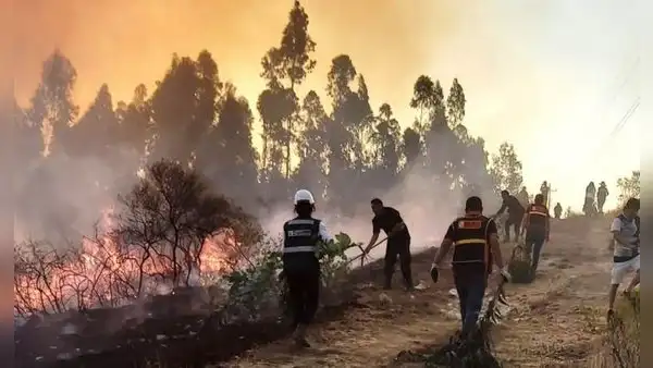 Fenómeno El Niño podría ampliar a seis meses la temporada de incendios forestales en Perú