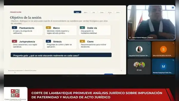 Corte de Lambayeque analiza diferencias entre impugnación de paternidad y nulidad de acto jurídico