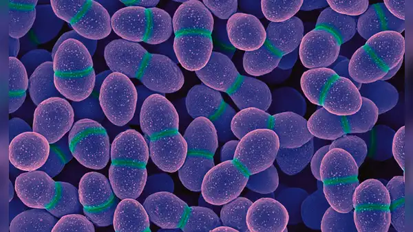 Un antiguo antibiótico demuestra una vez más su eficacia frente a una superbacteria