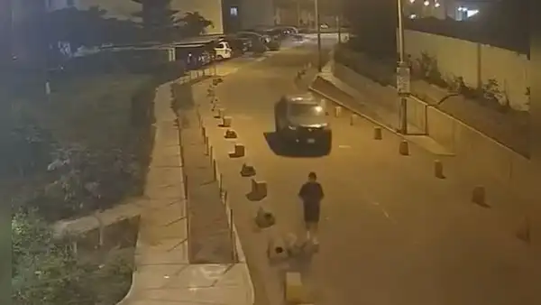 Camioneta que pertenecería al Mininter atropella a joven que paseaba a su perro en SJM y lo deja en UCI