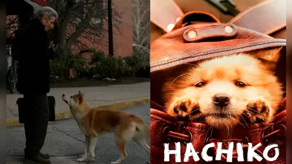 ¡Para volver a llorar! Clásico perruno ‘Hachiko’ regresa a los cines peruanos este 8 de octubre, 15 años después de su estreno