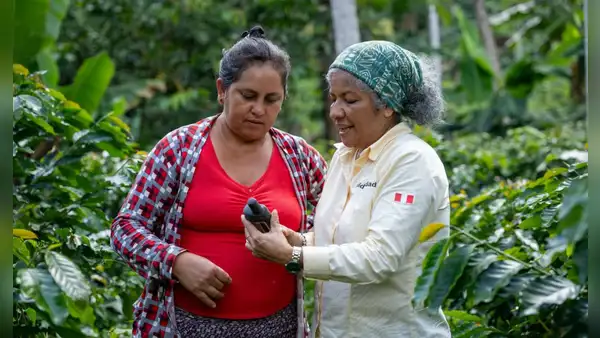 Productores de café, cacao y palma listos para exportar a Europa con “cero deforestación”