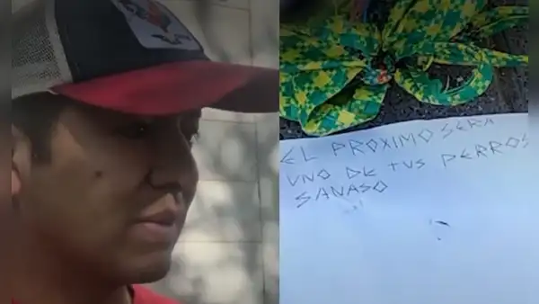 Candidato a Gore de Junín denuncia amenazas de muerte tras hallar cabeza de perro y carta de hampones