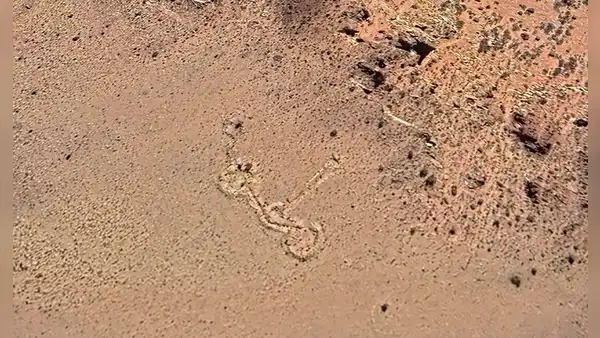 Un posible geoglifo detectado con Google Earth en los Andes intriga a arqueólogos: podría ser un centro ceremonial preincaico