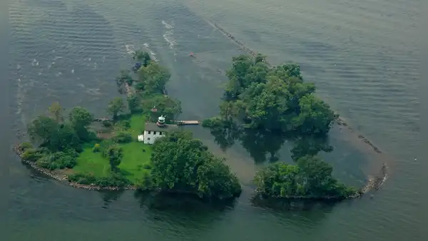En 2013, replantaron una isla entera con 60.000 plantas: 10 años después, lograron un impactante resultado