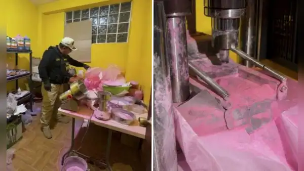 Hallan laboratorio de drogas sintéticas y decomisan más de 800.000 pastillas de éxtasis en Santa Anita y SMP