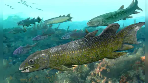 Unos fósiles de hace 325 millones de años revelarán los secretos de un antiguo fondo marino oculto en las profundidades