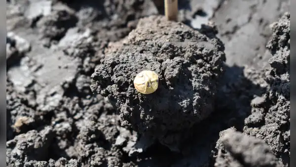 Arqueólogos desenterraron un tesoro de oro en 22.000 bolsas de artefactos antiguos durante un estudio para una autopista