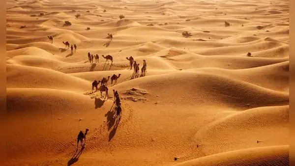 Este país está llevando agua del Atlántico hasta el desierto para transformar 5.200 hectáreas de terreno árido en grandes campos de cultivo