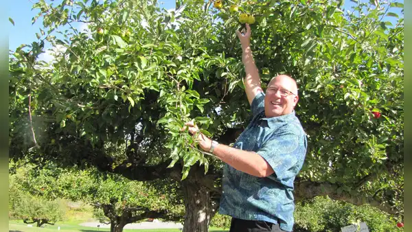 Un agente retirado del FBI comenzó a buscar manzanas “perdidas” y logró redescubrir 30 variedades olvidadas
