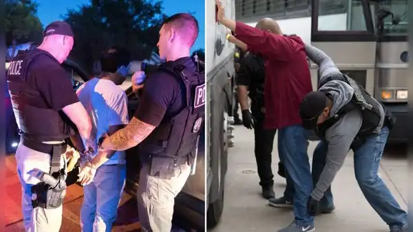 Atención inmigrantes legales e indocumentados | ICE anuncia cambios en la detención de vehículos luego de que se reportaran incidentes mortales