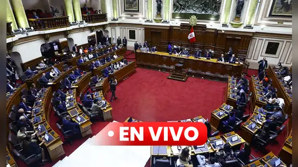 Pleno de la Cámara de Diputados EN VIVO: hoy se debate pedido de facultades legislativas al Ejecutivo