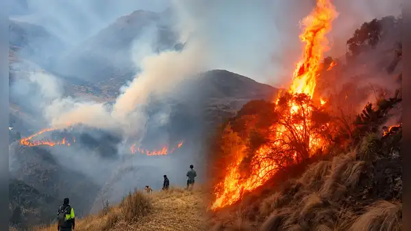 Cusco suma cerca de 280 incendios forestales y cinco fallecidos: seis emergencias todavía siguen activas