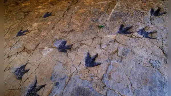 En 1958, un adolescente descubrió una huella de hace 230 millones de años, casi 70 años después confirmaron que era la más antigua del país