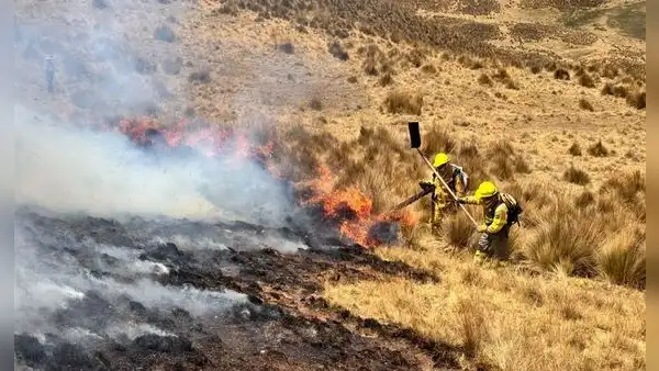 Incendio forestal arrasa más de 1.000 hectáreas y amenaza el Bosque de Piedras de Huayllay en Pasco