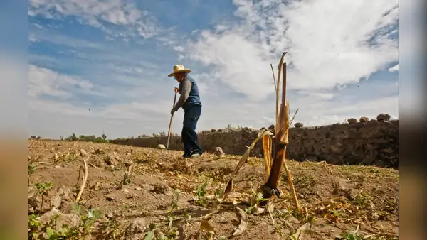 El Niño golpeará por partida doble: lluvia extremas en la costa norte y déficit hídrico en el agro sur