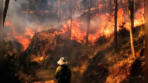 59 incendios forestales activos en todo el Perú: comunidades pierden cultivos, viviendas y ganado