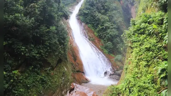 Ucayali impulsa plan de conservación para proteger la biodiversidad del área Velo de la Novia