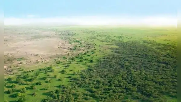 África quiere crear su propio Amazonas con una inversión de US$33.000 millones: se usará 100 millones de hectáreas para detener la desertificación