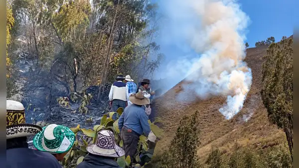 Cusco: incendios forestales cobran su sexta víctima mortal y dejan en estado crítico a otro adulto