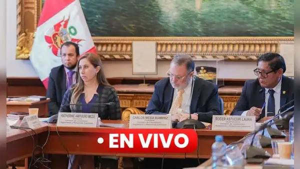 Comisión de Constitución EN VIVO: senadores discuten dictamen de delegación de facultades