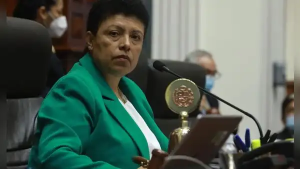 Martha Moyano señala que Senado puede aumentar materias a pedido de facultades y que "ser autoritario no es tan malo"