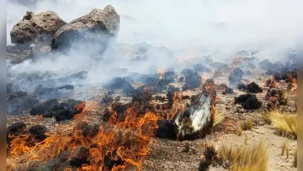 Incendios forestales en Puno dejan dos fallecidos, 22 heridos y arrasan casi 30.000 hectáreas