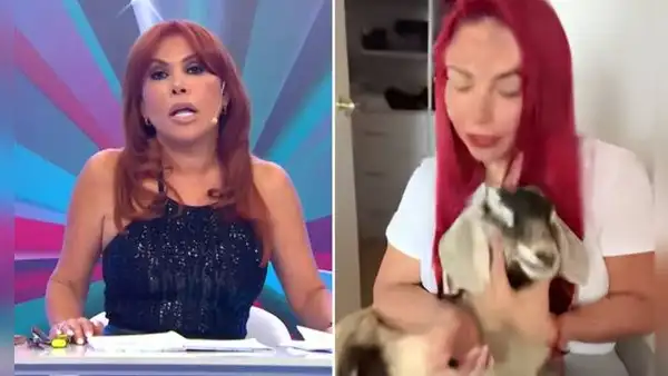 Magaly Medina queda impactada tras ver imágenes de Deysi Araujo con un cabrito y exige que las quiten de su programa: "Son chocantes"