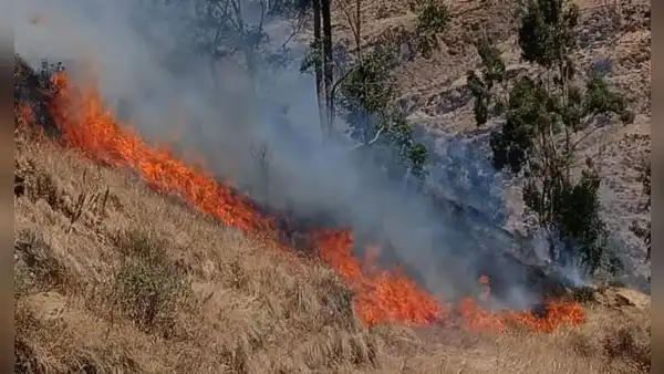 Incendio forestal destruye casa del alcalde de Chupamarca y deja cuatro heridos en Huancavelica