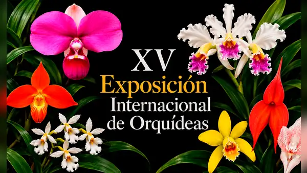 Lima será sede del evento de orquídeas más grande del país por los 40 años de la Sociedad Peruana de Orquídeas