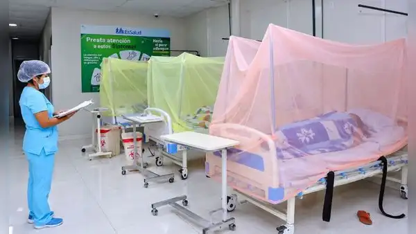 Dengue supera los 71.000 casos y suma 75 muertes en Perú ante la llegada de El Niño